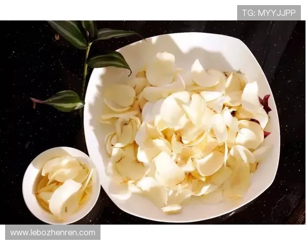 老虎机是啥：探索不同类型老虎机的特点与选择指南